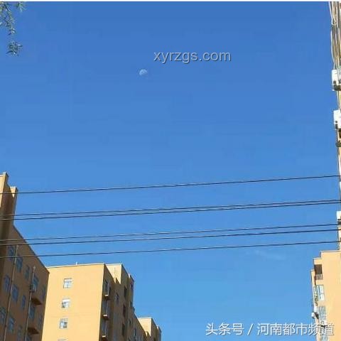 日月同輝的震撼瞬間：一次難忘的天文奇觀之旅?