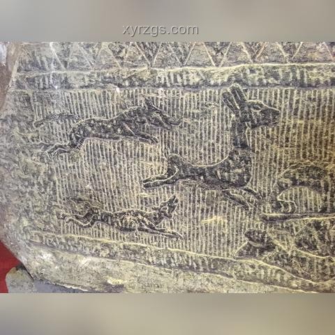 日月同輝的震撼瞬間：一次難忘的天文奇觀之旅?