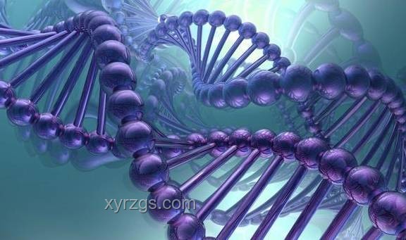 Nature研究揭示：孕期缺鐵影響胚胎性別，其意義深遠(yuǎn)