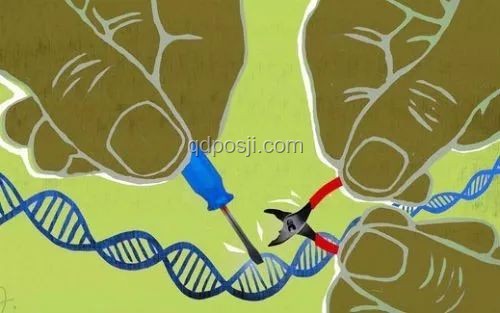 中國科學家首證史前母系社會，Nature成果重大意義解析
