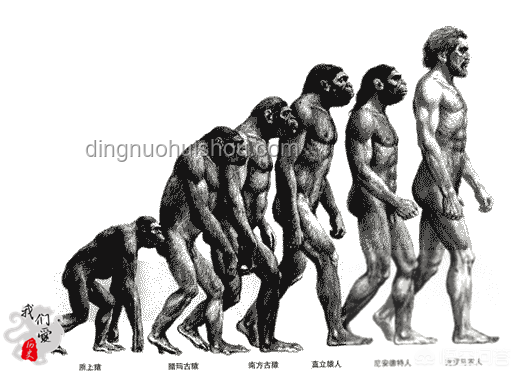 中國科學(xué)家確認(rèn)史前母系社會(huì)，Nature成果重大意義