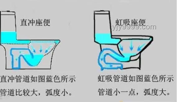 網(wǎng)紅呼吁取消女廁馬桶：衛(wèi)生隱患與解決之道對比分析