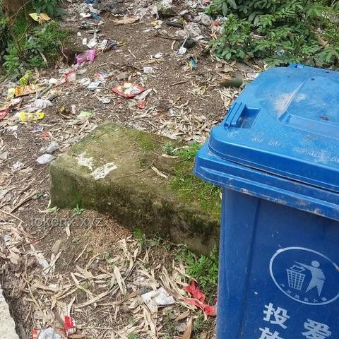 中國(guó)的垃圾真不夠燒了嗎？焚燒垃圾的好處與背后利益