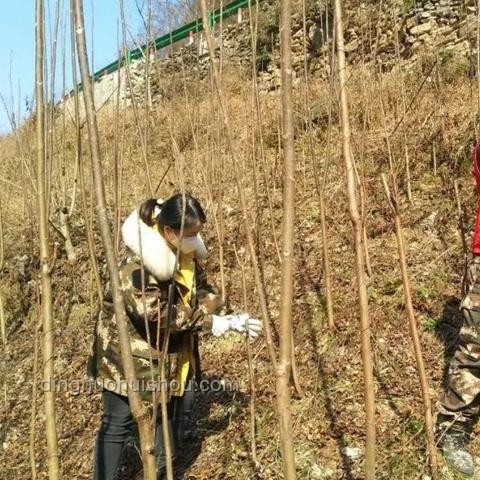 入戶大廳腳臭味難題：未來趨勢(shì)預(yù)測與應(yīng)對(duì)策略