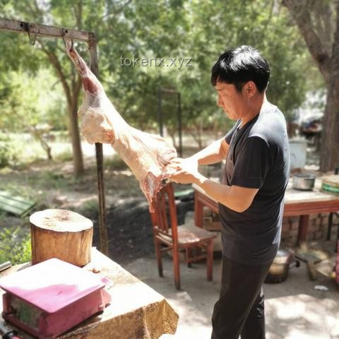 爬山時(shí)西瓜的驚喜：戶外野餐新樂趣