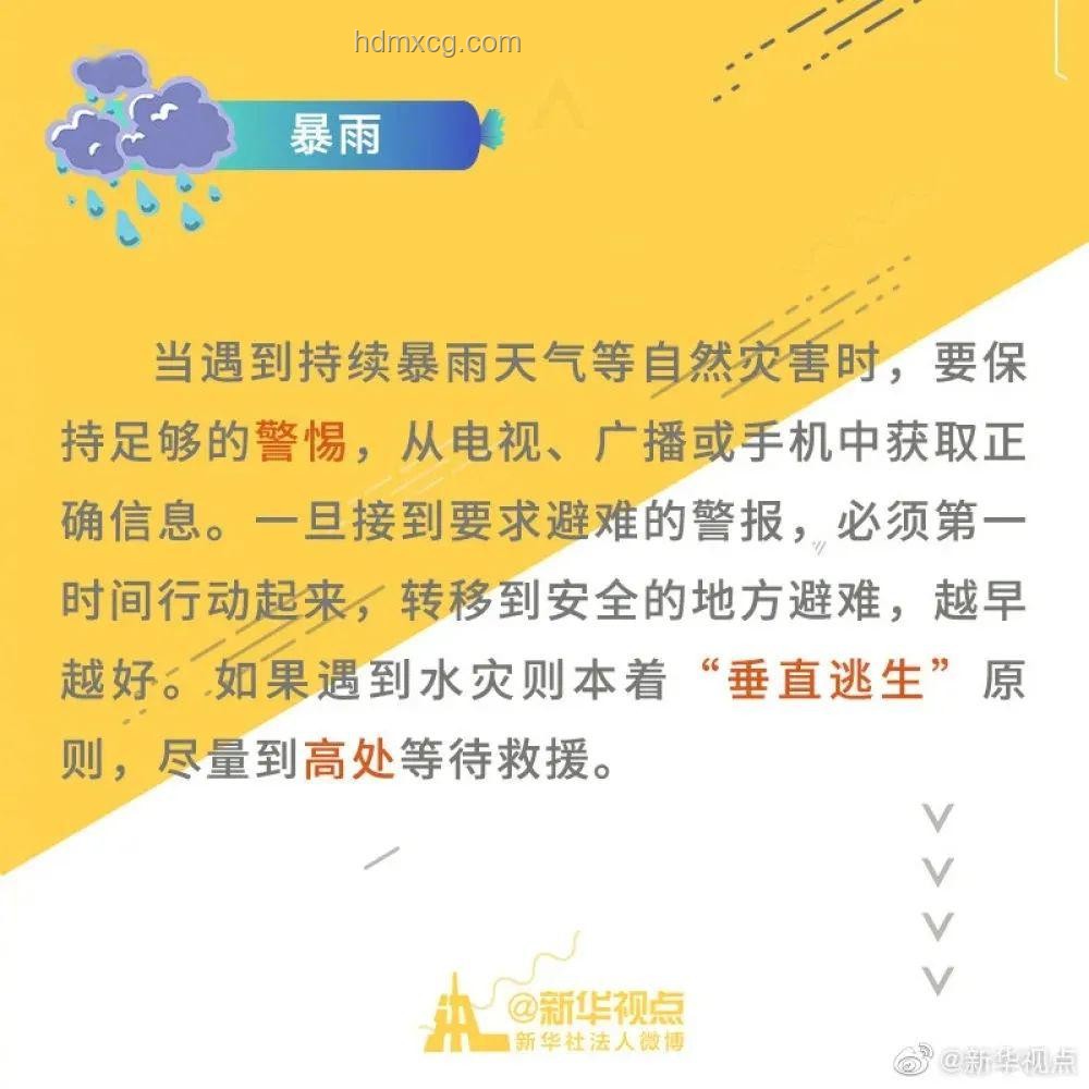 臺(tái)風(fēng)蝴蝶海南東方登陸案例研究：應(yīng)急響應(yīng)與防災(zāi)減災(zāi)