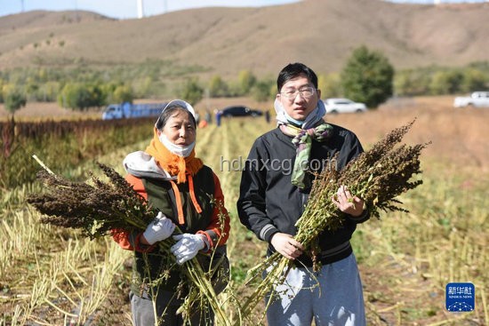 鄭欽文草地賽巨分攻略：汗水與智慧并存的勝利之路