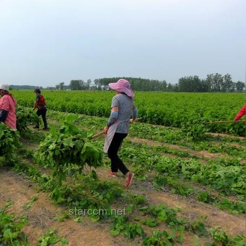 高考扁擔(dān)女孩就業(yè)選擇透視：基層青年就業(yè)現(xiàn)狀與機遇