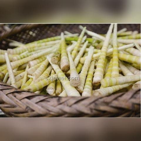 為什么感覺全世界只有中國會吃竹筍？全球食筍文化探索
