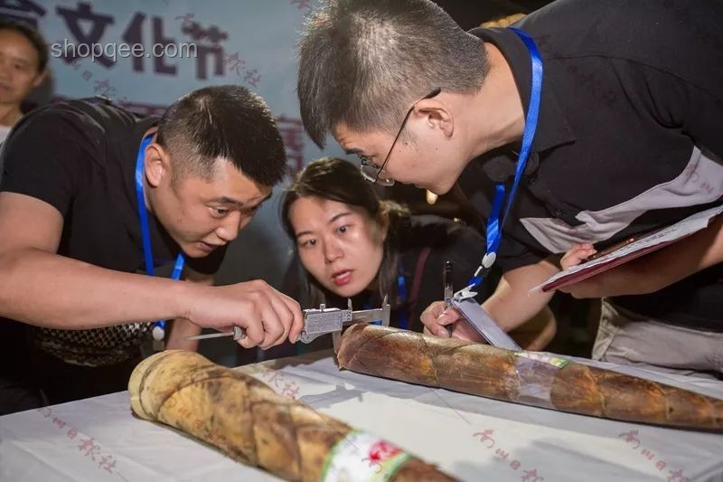 為什么感覺全世界只有中國(guó)會(huì)吃竹筍？解鎖竹筍美食文化