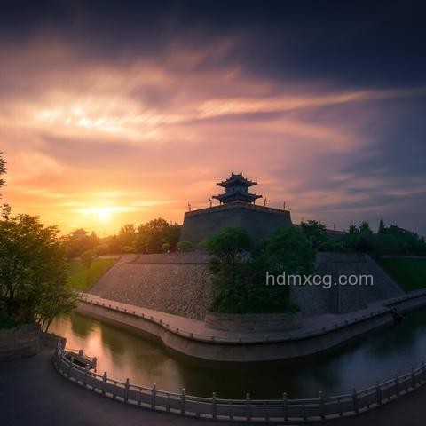 《長(zhǎng)安的荔枝》中荔枝樹(shù)整運(yùn)可行性對(duì)比分析