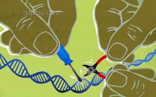 中國科學(xué)家首證史前母系社會，Nature成果的重大意義