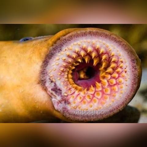 21世紀(jì)生物學(xué)：是天坑還是寶藏？我的親歷揭秘