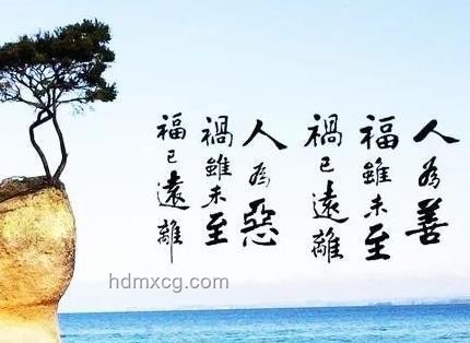 真誠善良，志趣相投的人最吸引我??