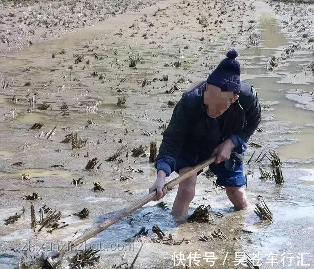 揭秘老人味源頭，55歲后這些少碰，優(yōu)雅老去無異味