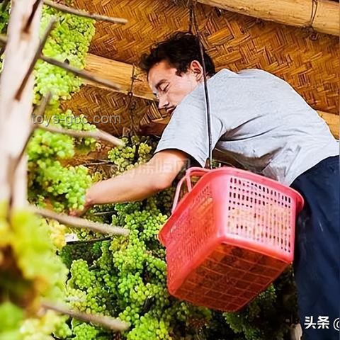 你以為很臟，其實(shí)很干凈VS你認(rèn)為干凈，實(shí)則臟的生活習(xí)慣對比