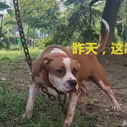 你以為很臟，其實(shí)很干凈的生活習(xí)慣指南