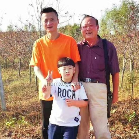 官方回應(yīng)學(xué)校圍墻倒塌致祖孫身亡的解決方案