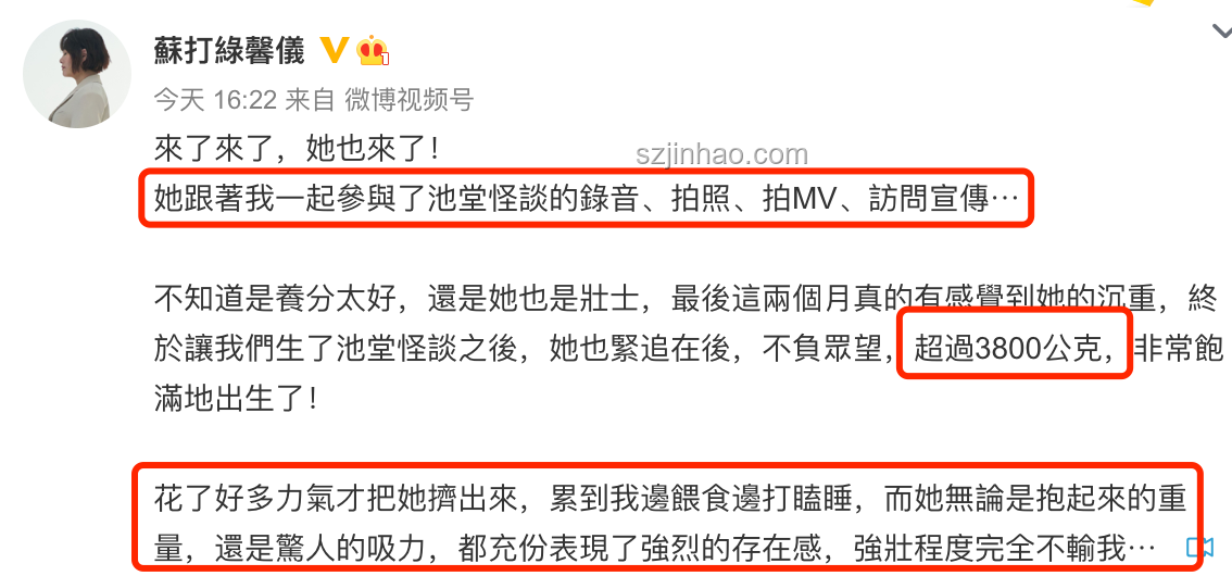 45歲明星官宣懷孕引發(fā)熱議：娛樂與生育觀念融合新趨勢