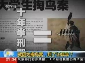月入5萬女生跨界陪父掏糞：價值重構的生活藝術