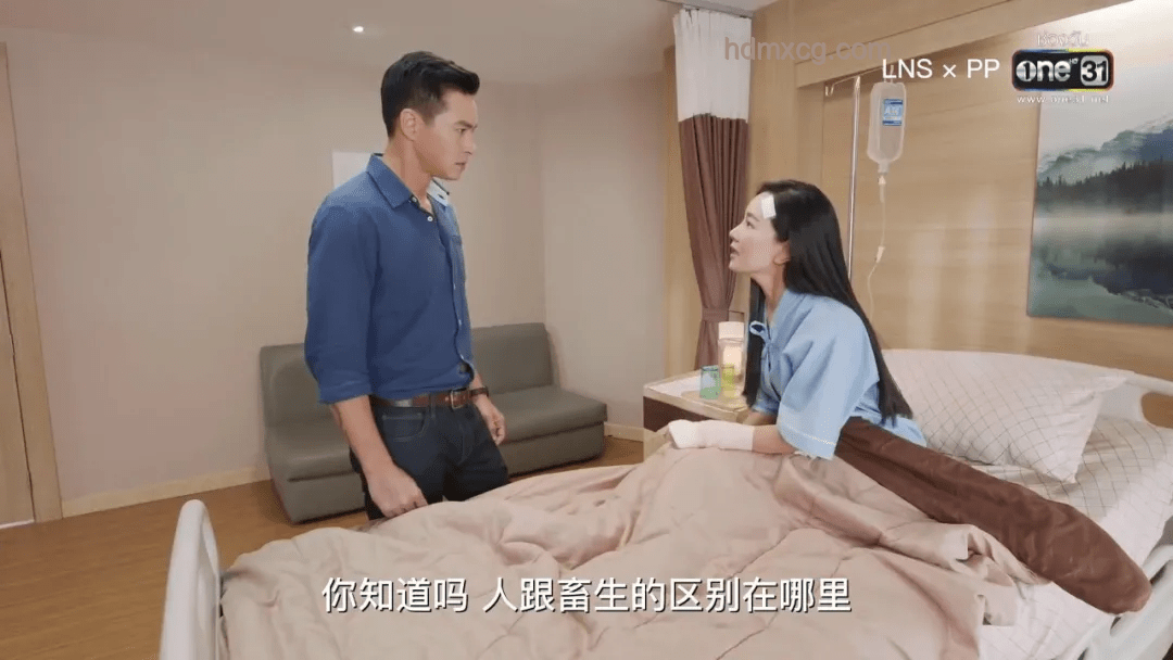 《醬園弄》引領(lǐng)影視新風(fēng)尚：大女主大男主時(shí)代來臨？