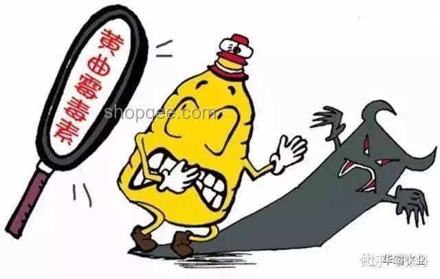 學(xué)校圍墻倒塌致祖孫二人身亡：責(zé)任界定與預(yù)防措施深度分析