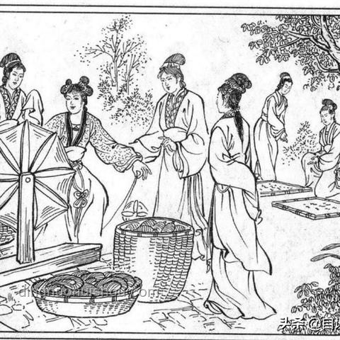 扁擔(dān)女孩與普遍大學(xué)生：上大學(xué)前網(wǎng)絡(luò)行為對(duì)比