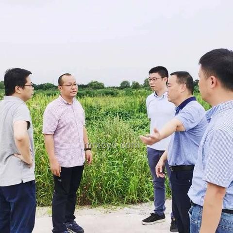 連云港隊(duì)與蘇州隊(duì)：未來對戰(zhàn)趨勢預(yù)測
