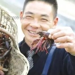 周三市場(chǎng)趨勢(shì)深度剖析：行業(yè)波動(dòng)與策略調(diào)整