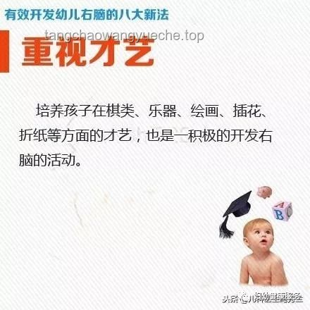 清華爸爸育兒新法：跨界融合，智慧帶娃！