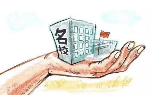 報(bào)考基礎(chǔ)學(xué)科：勇氣與熱愛的背后真相