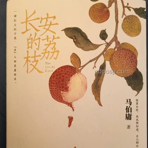 電視劇《長安的荔枝》中職場人共鳴的深度剖析