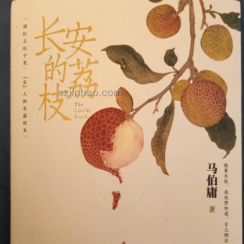 電視劇《長安的荔枝》中職場人共鳴的深刻情節(jié)剖析