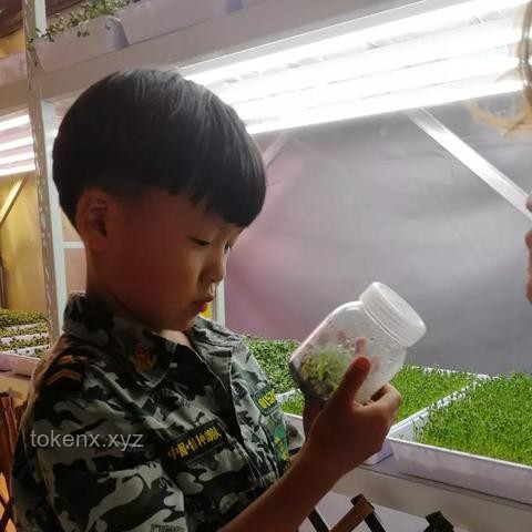 普通家庭給予孩子童年的最佳禮物：愛(ài)與陪伴的價(jià)值探索