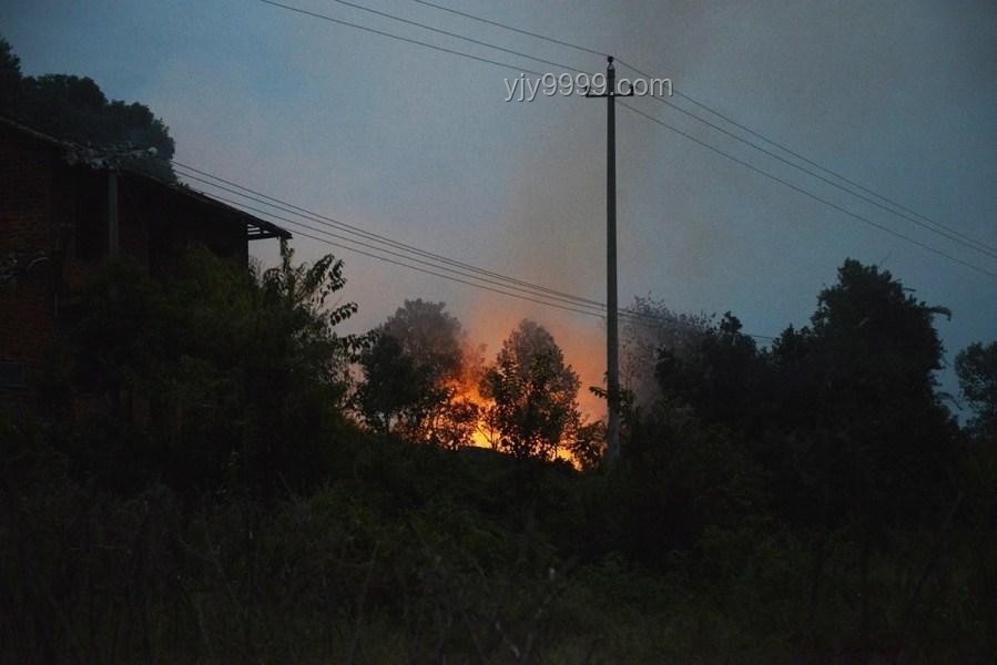 湖南花炮廠爆炸事件深度分析：蘑菇云背后的安全警鐘