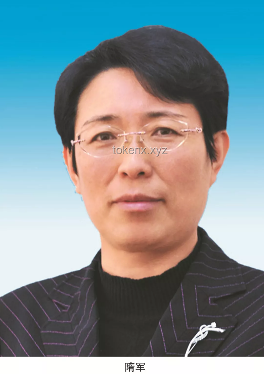 盧東亮當(dāng)選山西省省長(zhǎng)案例研究：年輕領(lǐng)導(dǎo)者的崛起與施政策略