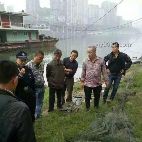 男子意外釣到鱷魚，多方合力妥善安置方案