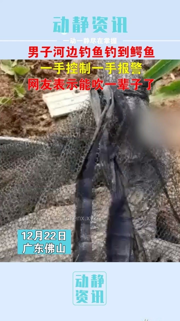 男子意外釣到鱷魚，多方合力妥善安置指南