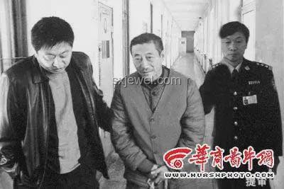 “一胎生99子”短劇背后的導(dǎo)演心聲：與編劇共舞的奇妙旅程??,編劇,導(dǎo)演心得,團(tuán)隊(duì)合作,創(chuàng)意碰撞