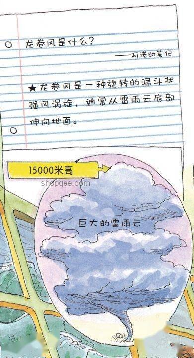 臺風(fēng)“蝴蝶”停止編號：了解臺風(fēng)生命周期與影響