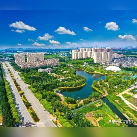 2024年AI賦能醫(yī)療行業(yè)革新趨勢預測：智能診斷與個性化治療
