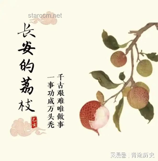 唐朝長安能否種下荔枝夢？??荔枝，長安，不可能的任務(wù)？