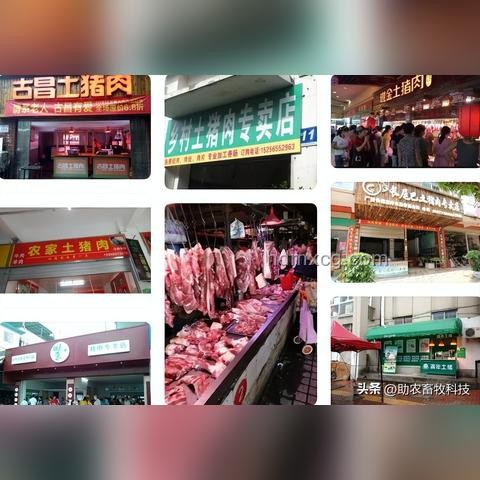 養(yǎng)豬人還得熬：養(yǎng)豬業(yè)的堅(jiān)持與挑戰(zhàn)