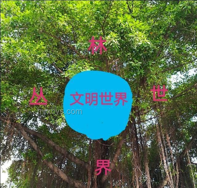 人類不能回到叢林法則：在文明社會(huì)的進(jìn)化之旅??