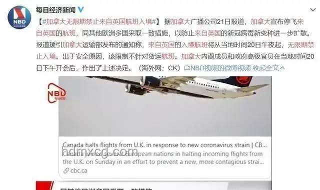 以色列暫停飛往其他國(guó)家航班：深度分析與影響探討