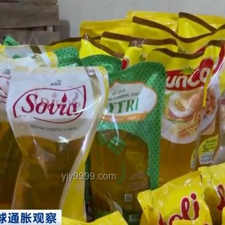 多地“國(guó)補(bǔ)”暫停？權(quán)威解析與未來(lái)展望