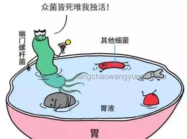 老人胃炎誤切全胃？醫(yī)院回應(yīng)背后的真相與思考