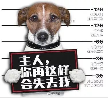 男子教唆犬只攻擊行為與正常寵物狗互動的對比分析