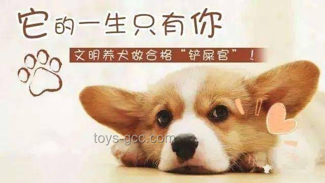 男子教唆犬只攻擊他人寵物狗：防范與應(yīng)對指南