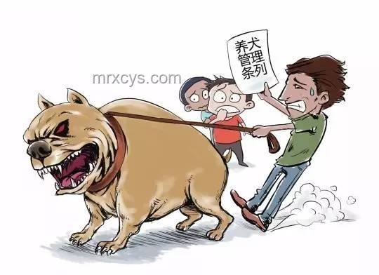如何應對男子教唆犬只攻擊他人寵物狗：實用防范指南